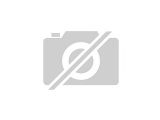 Biete Reitbeteiligung auf bravem zuverlässiges Springpferd